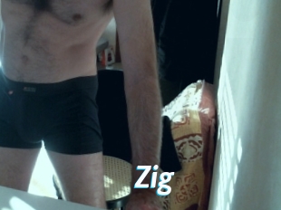 Zig